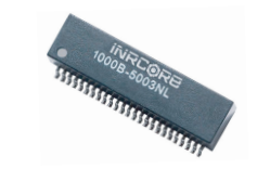 1000B-5001˫˿ڱѹiNRCORE